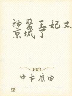 神医王妃又轰动京城了