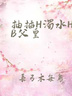 抽插H浊水H嫩B父皇