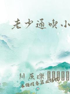 老少通吃小说