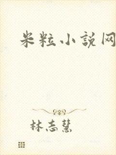 米粒小说网