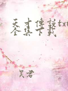 天才传说txt全集下载