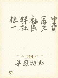 狼群社区中文第一社区免费