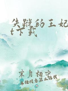 失踪的王妃txt下载