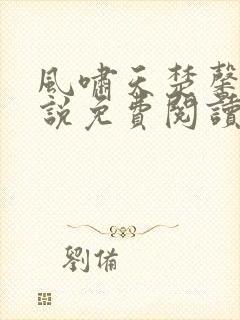 风啸天楚馨月小说免费阅读