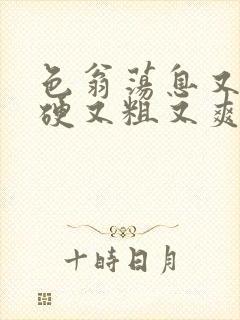 色翁荡息又大又硬又粗又爽电影