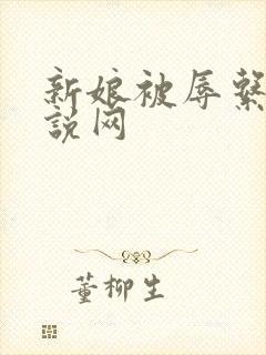 新娘被辱系列小说网