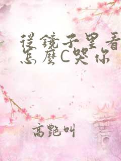 从镜子里看我是怎么C哭你