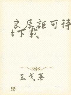 良辰讵可待txt下载