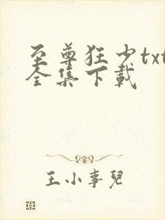 至尊狂少txt全集下载