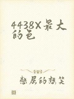 4438X最大的色