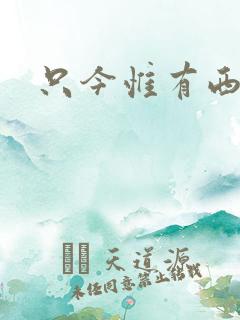 只今惟有西江月