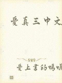 爱真三中文网