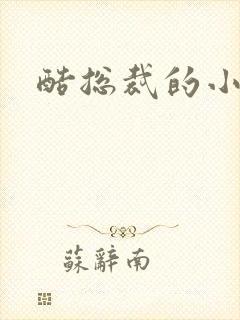 酷总裁的小女佣