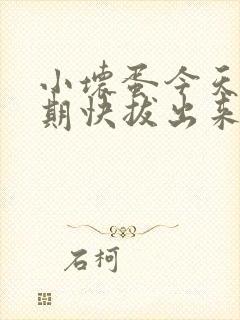 小坏蛋今天危险期快拔出来