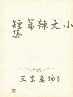 短篇辣文小说合集