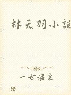 林天羽小说