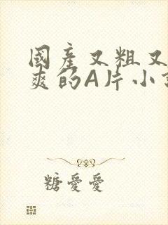 国产又粗又黄又爽的A片小说