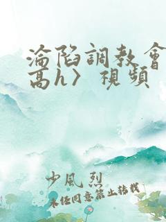 沦陷调教会所〈高h〉视频