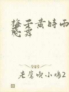 梅子黄时雨流光飞舞