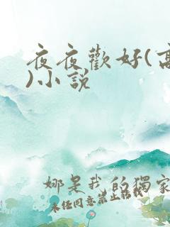 夜夜欢好(高h)小说