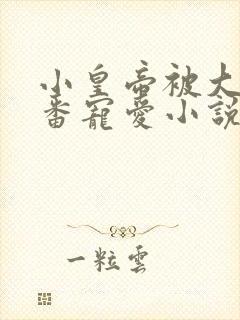 小皇帝被大臣轮番宠爱小说