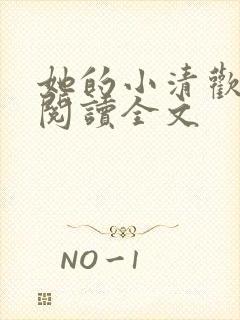 她的小清欢免费阅读全文