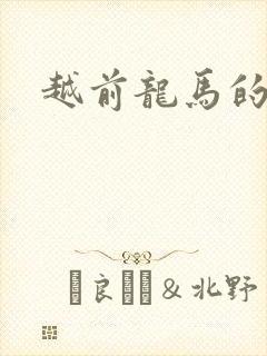 越前龙马的小说