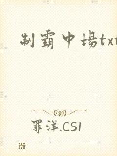 制霸中场txt