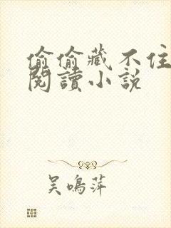 偷偷藏不住免费阅读小说