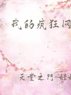 我的疯狂网游史