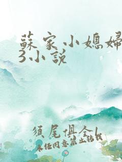 苏家小媳妇1V3小说
