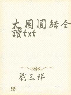 大团圆结全文阅读txt