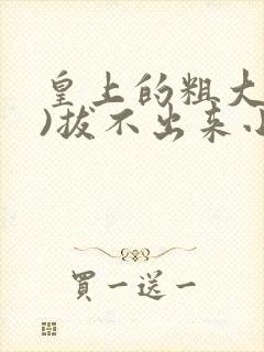 皇上的粗大(h)拔不出来小说