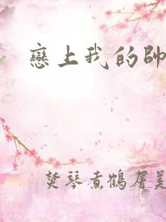 恋上我的帅和尚