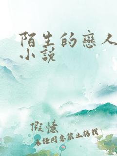 陌生的恋人原著小说