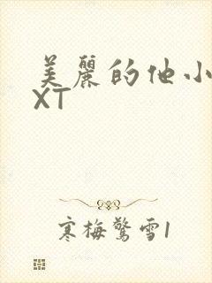 美丽的他小说TXT