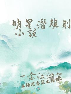 明星潜规则之皇 小说