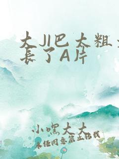 大JI巴太粗太长了A片
