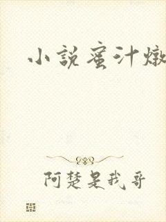 小说蜜汁炖鱿鱼