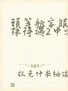 头等舱客服的特殊待遇2中字