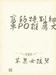 写的特别细的开车PO推荐文