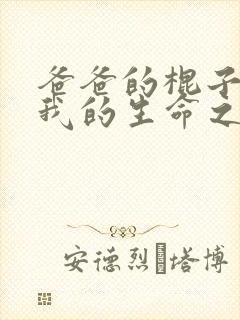 爸爸的棍子顶着我的生命之门