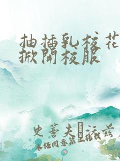 抽插乳校花老师掀开校服