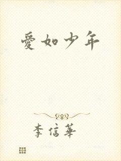 爱如少年
