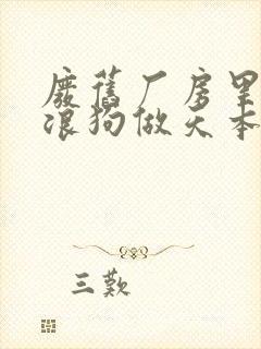 废旧厂房里和流浪狗做天本