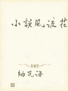 小说风流花少