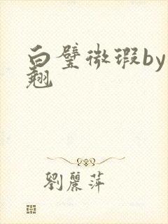 白璧微瑕by连翘