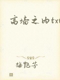 高墙之内txt