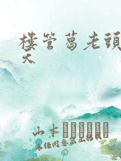 楼管葛老头的春天