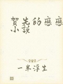 贺先的恋恋不忘小说